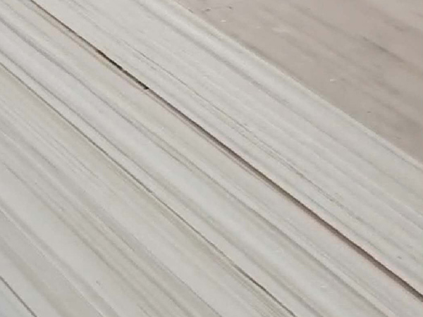 54